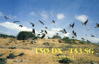 T5ØDX